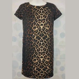 Bar III Leopard Print Career Dress Size Small